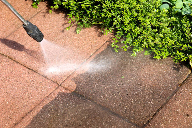 Best Deck Cleaning Services  in Rotan, TX